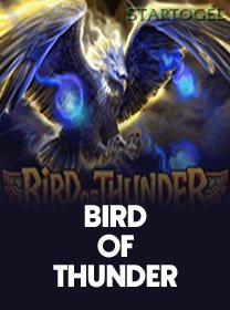 Bird Of Thunder game thumbnail
